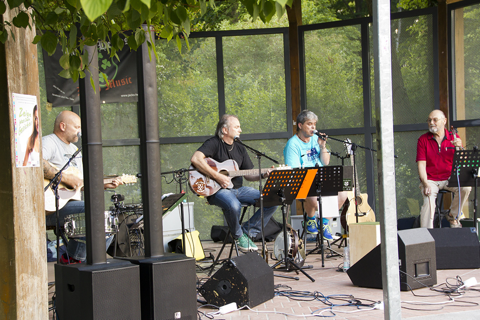 SerenadenWeidenJuli14_1